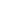 81