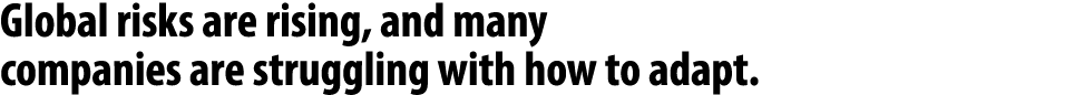 Global risks are rising, and many companies are struggling with how to adapt. 
