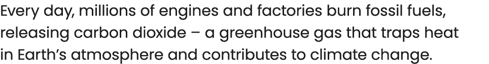 Every day, millions of engines and factories burn fossil fuels, releasing carbon dioxide – a greenhouse gas that trap...