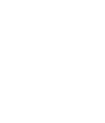 This is a result of dynamic and ever changing efforts of Chinese companies that try to align multiple demands between...